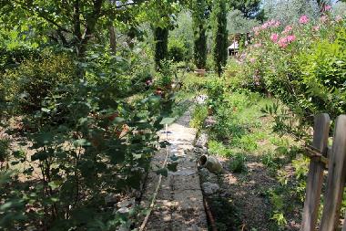 Holiday House in amelia (Terni) or holiday homes and vacation rentals