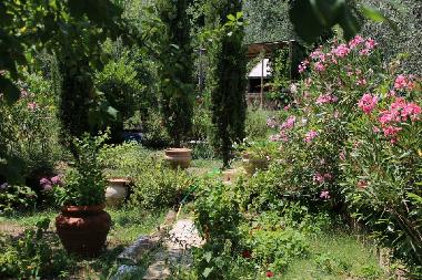 Holiday House in amelia (Terni) or holiday homes and vacation rentals