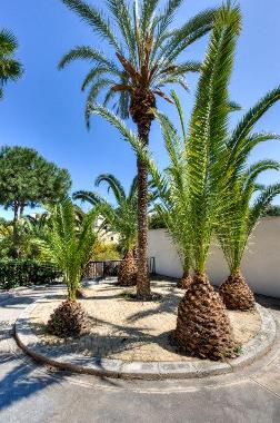 Villa in Mellieha (Malta) or holiday homes and vacation rentals