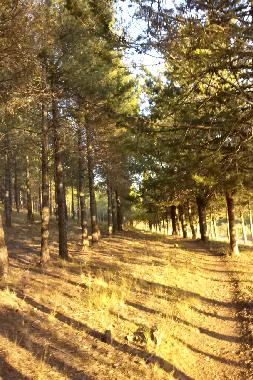 Holiday Apartment in Caete (Cuenca) or holiday homes and vacation rentals