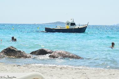 Holiday Apartment in Santa Maria Poggio (Haute-Corse) or holiday homes and vacation rentals