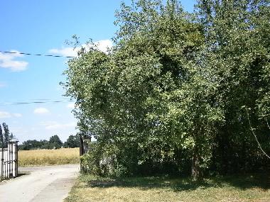 Holiday House in sennecey legrand (Sa�ne-et-Loire) or holiday homes and vacation rentals