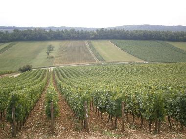 Holiday House in sennecey legrand (Sa�ne-et-Loire) or holiday homes and vacation rentals