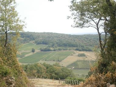 Holiday House in sennecey legrand (Sa�ne-et-Loire) or holiday homes and vacation rentals