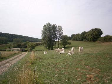 Holiday House in sennecey legrand (Sa�ne-et-Loire) or holiday homes and vacation rentals