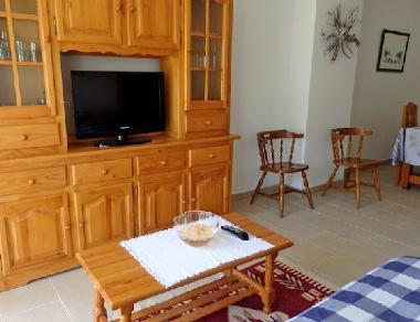 living room with spanish tv