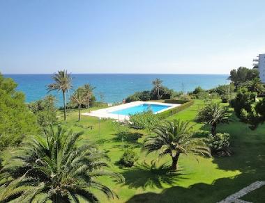 swimming pool and green spaces