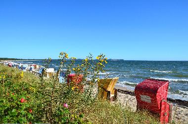 Holiday Apartment in Thiessow (Ostsee-Inseln) or holiday homes and vacation rentals