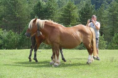 Holiday Apartment in vieux boucau  (Landes) or holiday homes and vacation rentals
