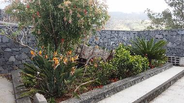 Villa in arco da calheta (Madeira) or holiday homes and vacation rentals