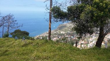 Villa in arco da calheta (Madeira) or holiday homes and vacation rentals