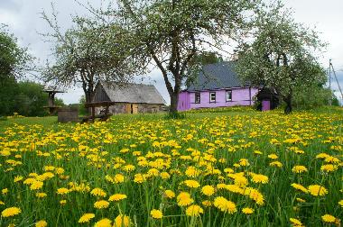Holiday House in Ilūkstes novads (Lettland) or holiday homes and vacation rentals