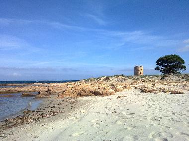 Bed and Breakfast in Posada (Nuoro) or holiday homes and vacation rentals