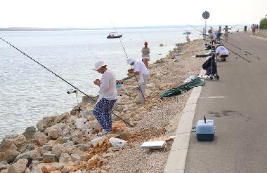 Holiday Apartment in Vir (Zadarska) or holiday homes and vacation rentals