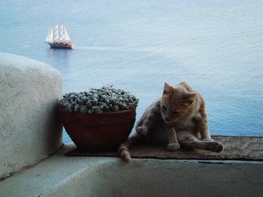 Holiday House in oia (Kyklades) or holiday homes and vacation rentals