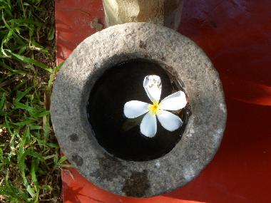 Holiday House in Weligama (Matara) or holiday homes and vacation rentals