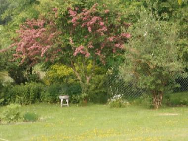Holiday Apartment in Bad sachsa (Harz) or holiday homes and vacation rentals