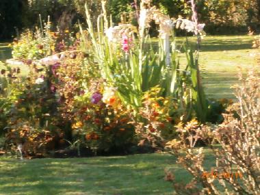 Holiday Apartment in Bad sachsa (Harz) or holiday homes and vacation rentals