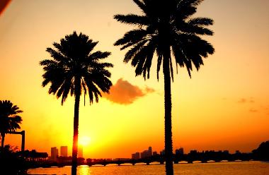 Holiday House in Miami Beach (Florida) or holiday homes and vacation rentals