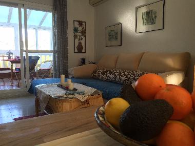 Holiday Apartment in Torrox-park (Mlaga) or holiday homes and vacation rentals