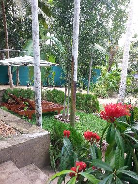 Holiday House in Hikkaduwa-Gonipinuwala (Galle) or holiday homes and vacation rentals