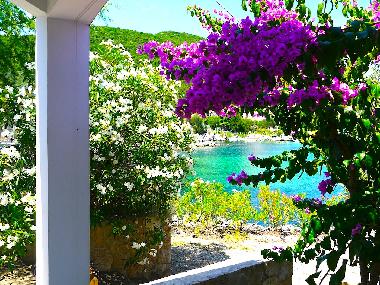 Villa in Dubrovnik Area Kabli  (Dubrovacko-Neretvanska) or holiday homes and vacation rentals