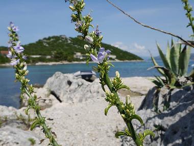 Villa in Dubrovnik Area Kabli  (Dubrovacko-Neretvanska) or holiday homes and vacation rentals