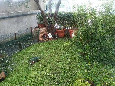 Holiday Apartment in orosei (Nuoro) or holiday homes and vacation rentals