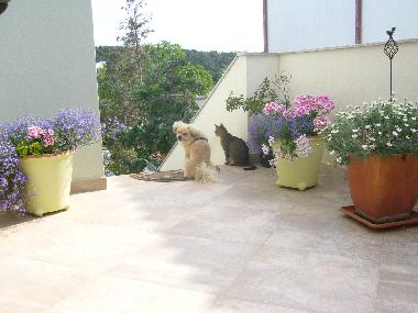 Holiday Apartment in Banjole (Istarska) or holiday homes and vacation rentals