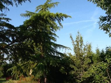 Holiday Apartment in Brugui�res (Haute-Garonne) or holiday homes and vacation rentals