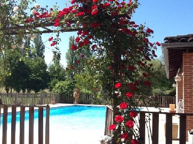 Holiday Apartment in Brugui�res (Haute-Garonne) or holiday homes and vacation rentals