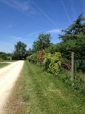 Holiday Apartment in Brugui�res (Haute-Garonne) or holiday homes and vacation rentals