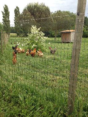 Holiday Apartment in Brugui�res (Haute-Garonne) or holiday homes and vacation rentals