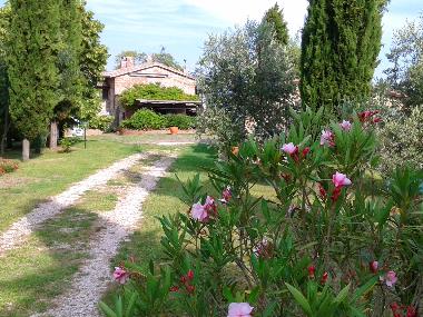 Holiday Apartment in Colonnetta di Prodo Orvieto (Terni) or holiday homes and vacation rentals