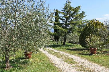 Holiday Apartment in Colonnetta di Prodo Orvieto (Terni) or holiday homes and vacation rentals