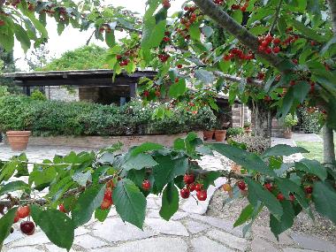 Holiday Apartment in Colonnetta di Prodo Orvieto (Terni) or holiday homes and vacation rentals