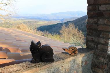 Holiday Apartment in Colonnetta di Prodo Orvieto (Terni) or holiday homes and vacation rentals