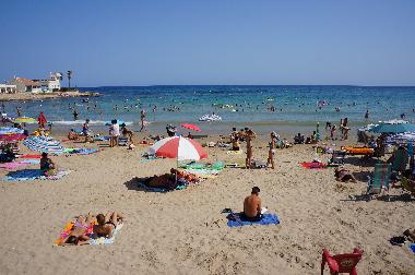 Holiday House in torrevieja (Alicante / Alacant) or holiday homes and vacation rentals