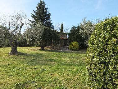 Holiday House in Bivio Ravi (Grosseto) or holiday homes and vacation rentals
