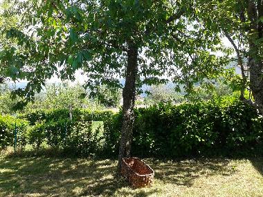 Holiday House in Ponte della Venturina (Bologna) or holiday homes and vacation rentals