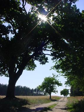 Holiday House in Nuthe-Urstromtal OT Berkenbr�ck (Teltow-Fl�ming) or holiday homes and vacation rentals