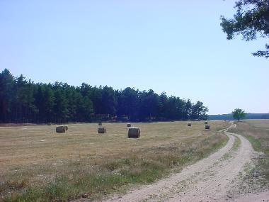 Holiday House in Nuthe-Urstromtal OT Berkenbr�ck (Teltow-Fl�ming) or holiday homes and vacation rentals