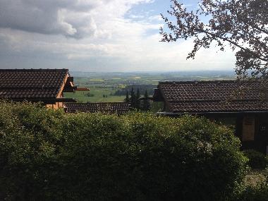 Holiday House in Oefingen (Black Forest) or holiday homes and vacation rentals