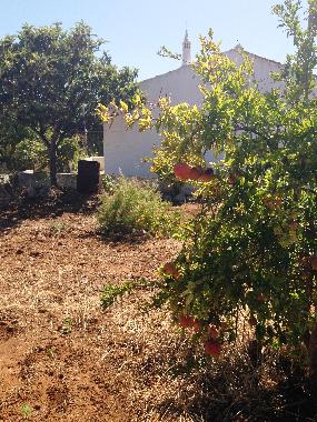 Holiday House in vila nova de cacela, portugal (Algarve) or holiday homes and vacation rentals