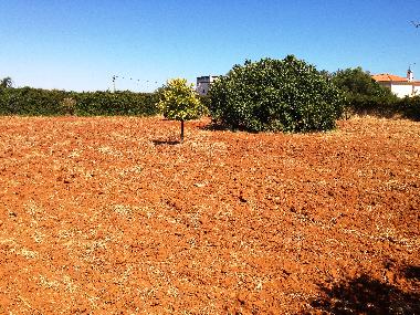 Holiday House in vila nova de cacela, portugal (Algarve) or holiday homes and vacation rentals