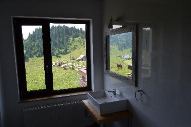 Villa in Fundata (Brasov) or holiday homes and vacation rentals