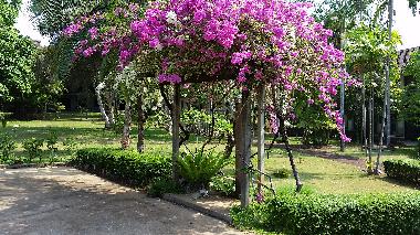 Holiday House in Mae Phim (Rayong) or holiday homes and vacation rentals