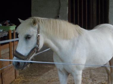 Holiday House in pirajoux (Ain) or holiday homes and vacation rentals