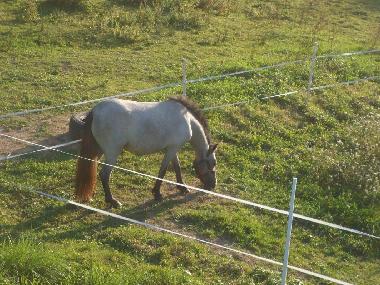 Holiday House in pirajoux (Ain) or holiday homes and vacation rentals