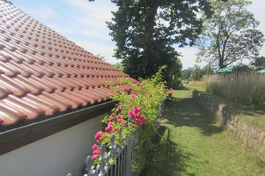 Holiday House in Krakow am See (Mecklenburgische Seenplatte) or holiday homes and vacation rentals